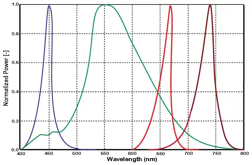 Spectrum of Grow Light LEDs Graph